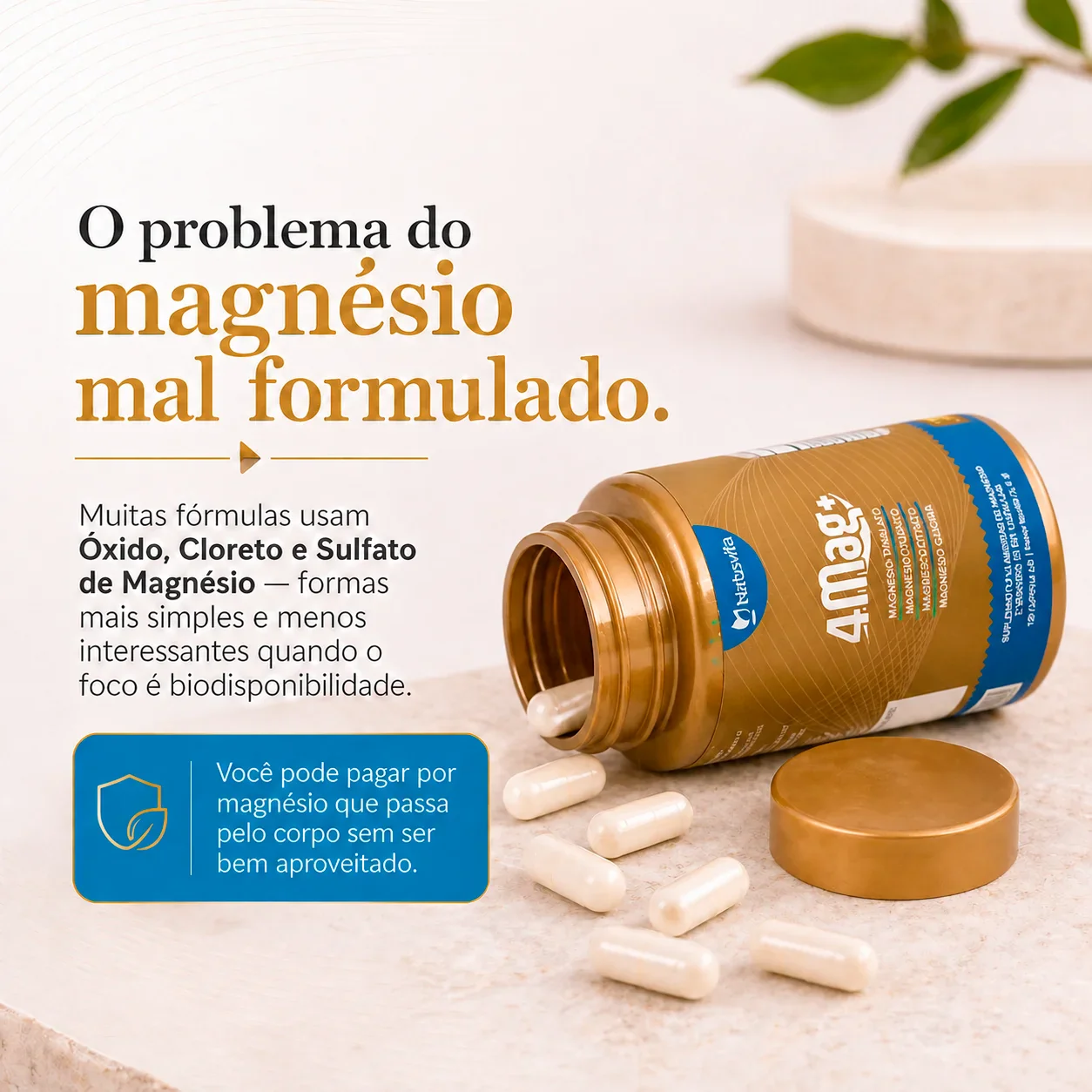 Imagem do produto 3